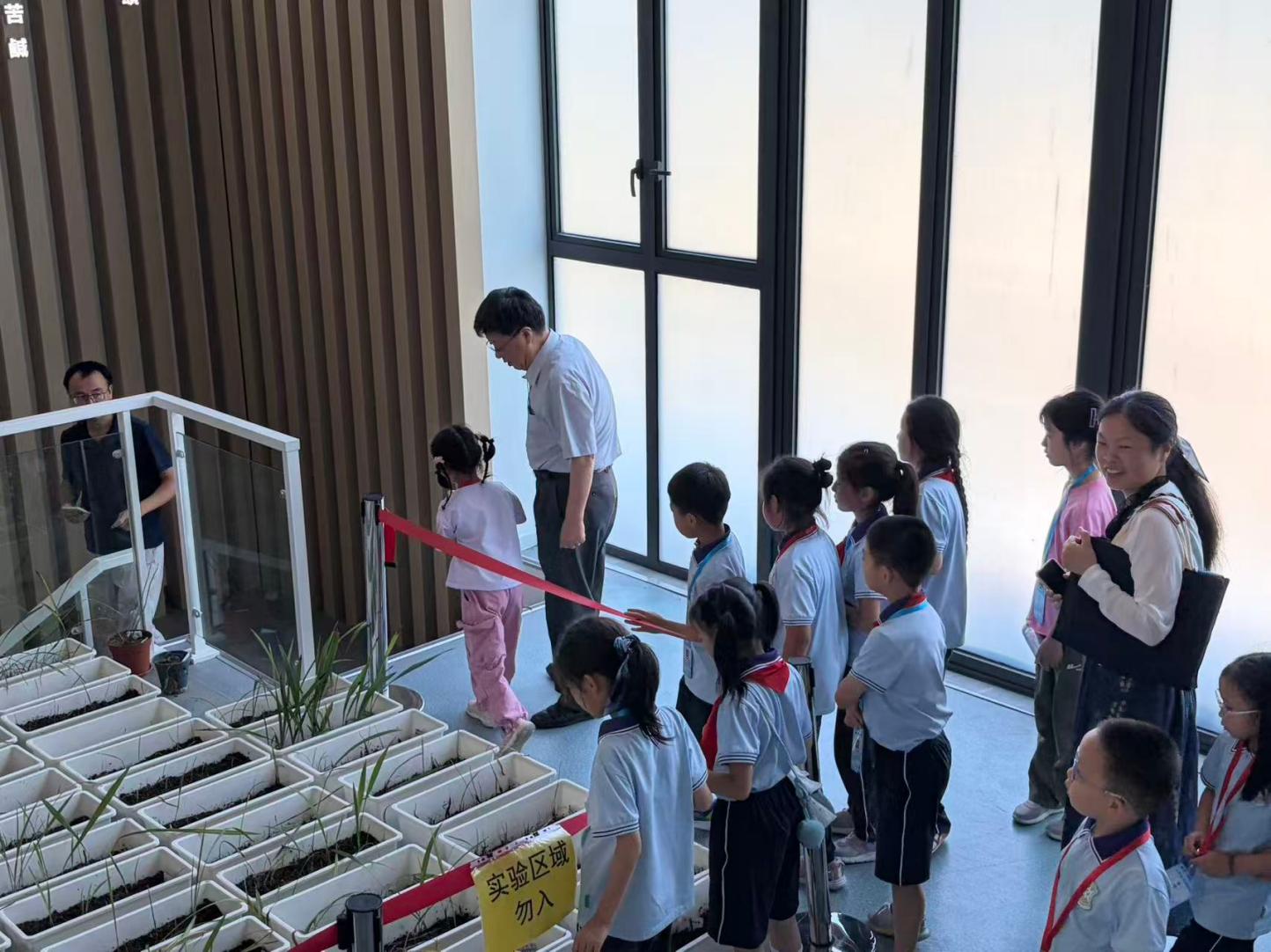 同题参见上海中医药大学中药开云App